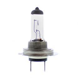 hbh7 BULB - 12V 55W H7